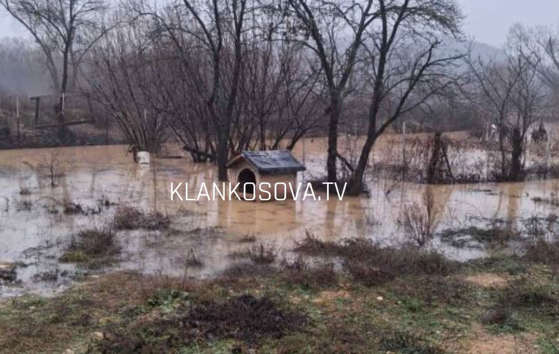 Vërshime edhe në Miradi të Epërme të Fushë Kosovës