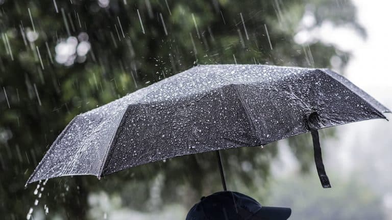 Mot ‘kapriçioz’ për fundjavë: Vranët, diell dhe shi