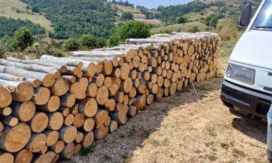 Dyshohet për vjedhje drurësh të ahut, kapet burri në Kërpimeh