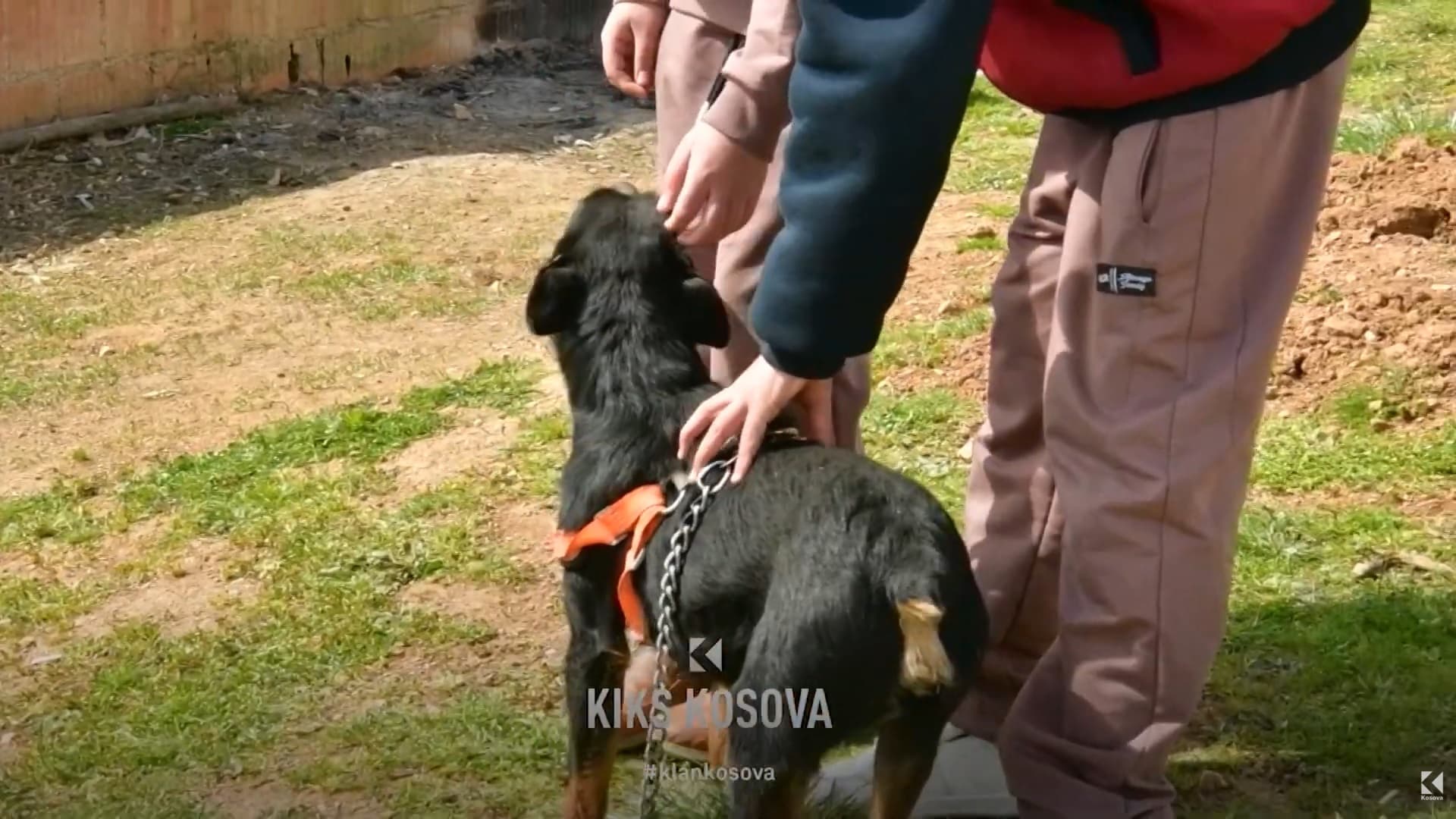 Dhuna e prindërve ndaj fëmijëve: Çka tregojnë statistikat nga QPS-të dhe gjykatat? (VIDEO)