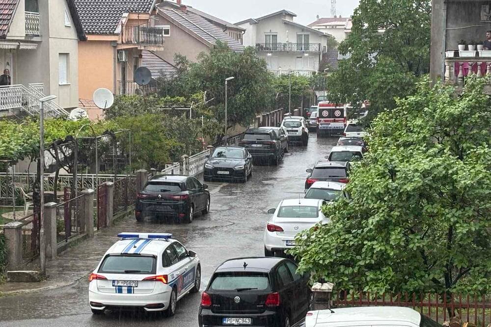 Vrasje e trefishtë në Mal të Zi: Dy vëllezër nga Rozhaja mes viktimave