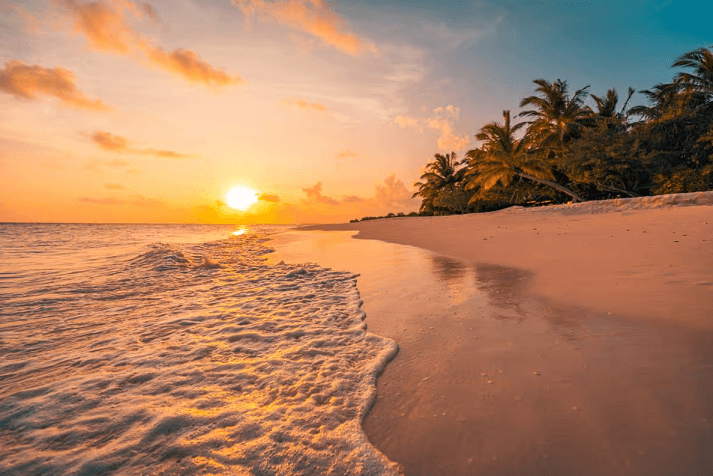 Shkoi në Maldive për muajin e mjaltit, turisti sulmohet nga peshkaqenët – po lufton për jetën