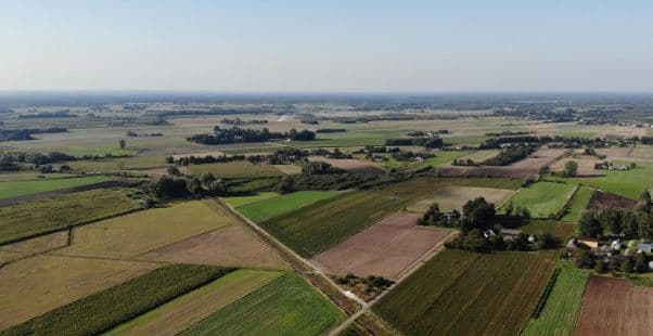Prokuroria e Prizrenit siguron urdhëresën për ngrirjen e 42 pronave me vlerë rreth 3 mln euro