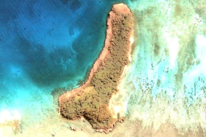 Fansja e Google Earth zbulon një ishull në formë penisi në mes të Oqeanit Paqësor