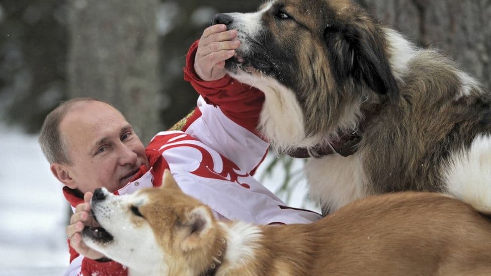 “Putinët e rrejshëm” dhe misioni i 'superfansave' misterioz të tij në Facebook
